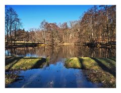 Teich im Sonnenlicht