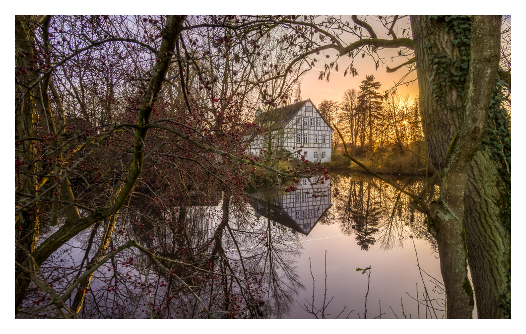 Teich im Sonnenuntergang