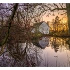 Teich im Sonnenuntergang