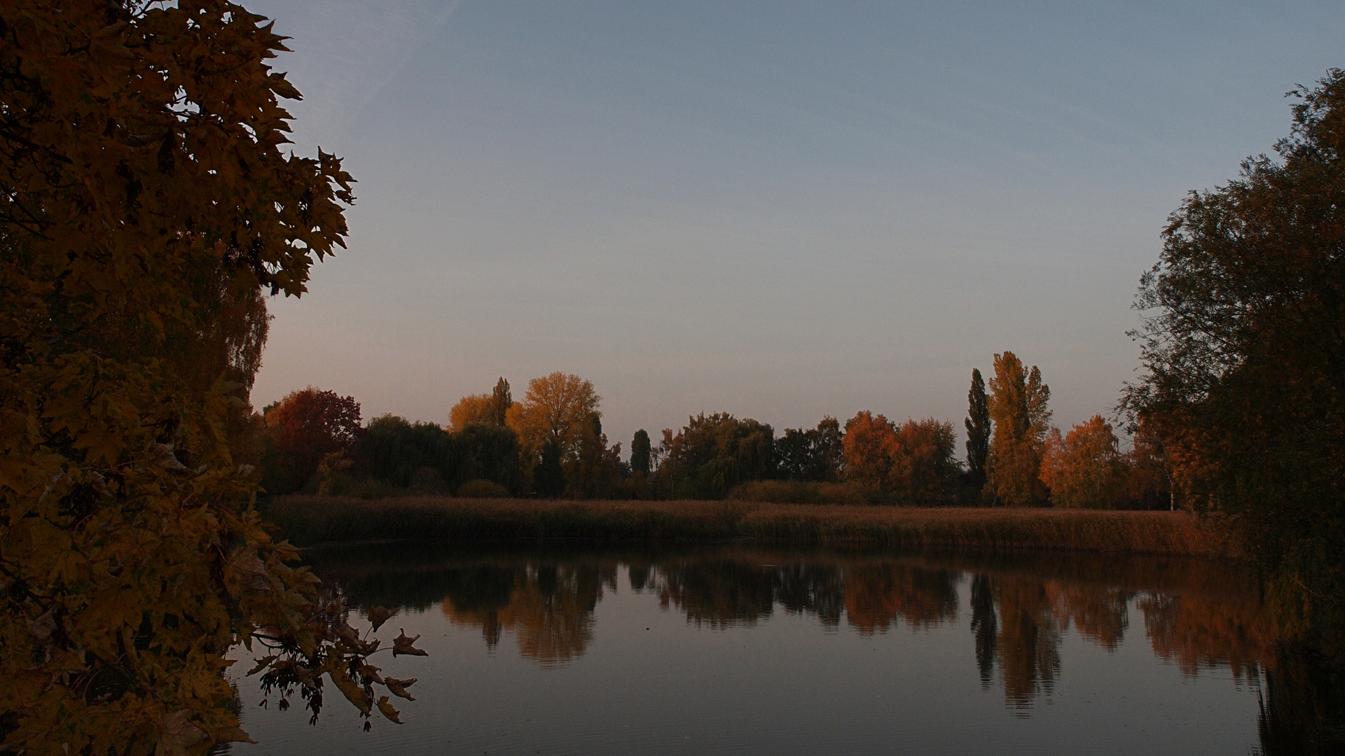 Teich im späten Oktoberlicht