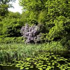 Teich im Stourhead Garden