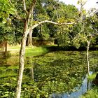 Teich im Tempelareal von Banteay Srey