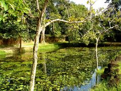 Teich im Tempelareal von Banteay Srey