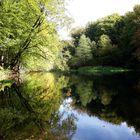 Teich im Wald