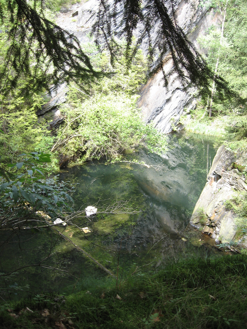 Teich im Wald Foto & Bild landschaft, lebensräume, tagebau Bilder auf