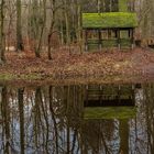 Teich im Wald