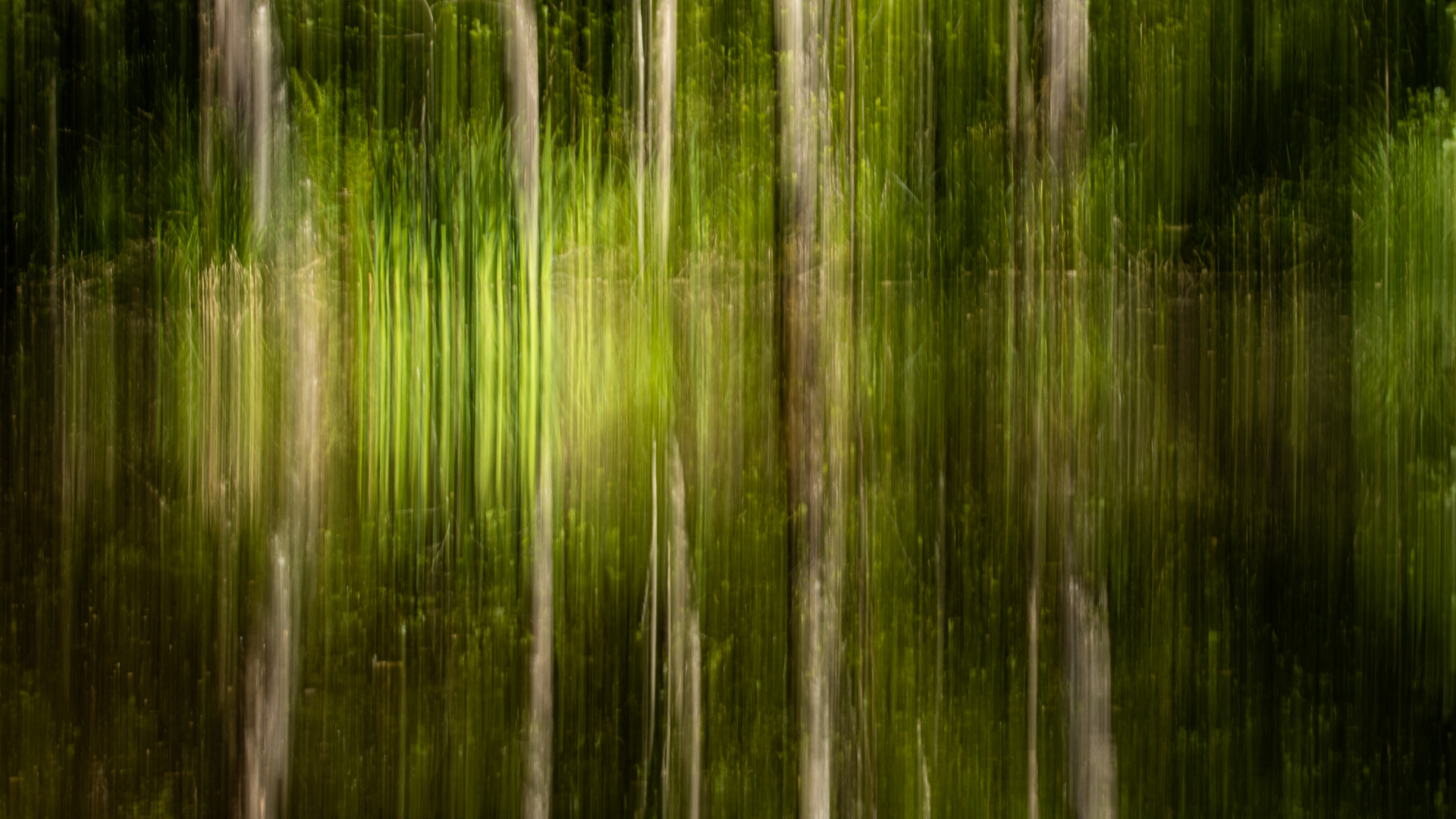 Teich im Wald (abstrakt)