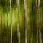 Teich im Wald (abstrakt)