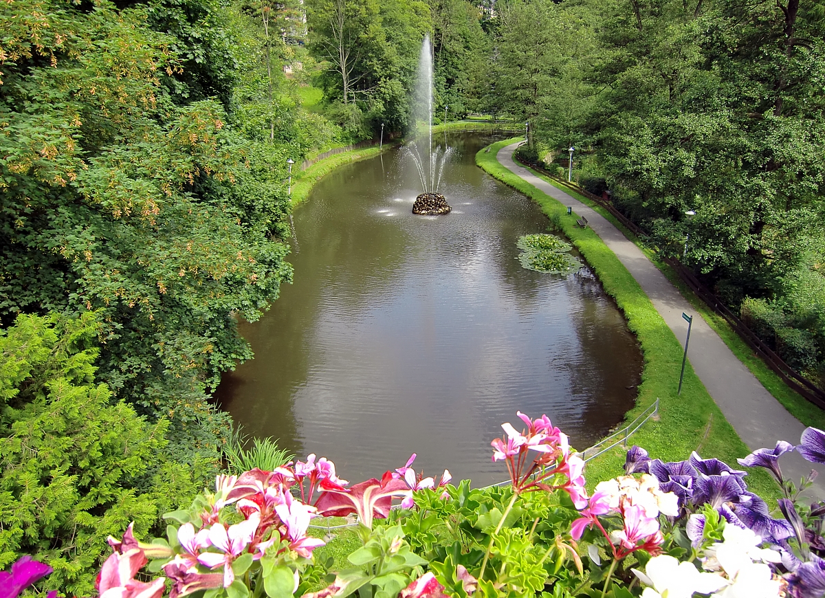 Teich im Waldschlößchenpark in AnnabergBuchholz Foto & Bild