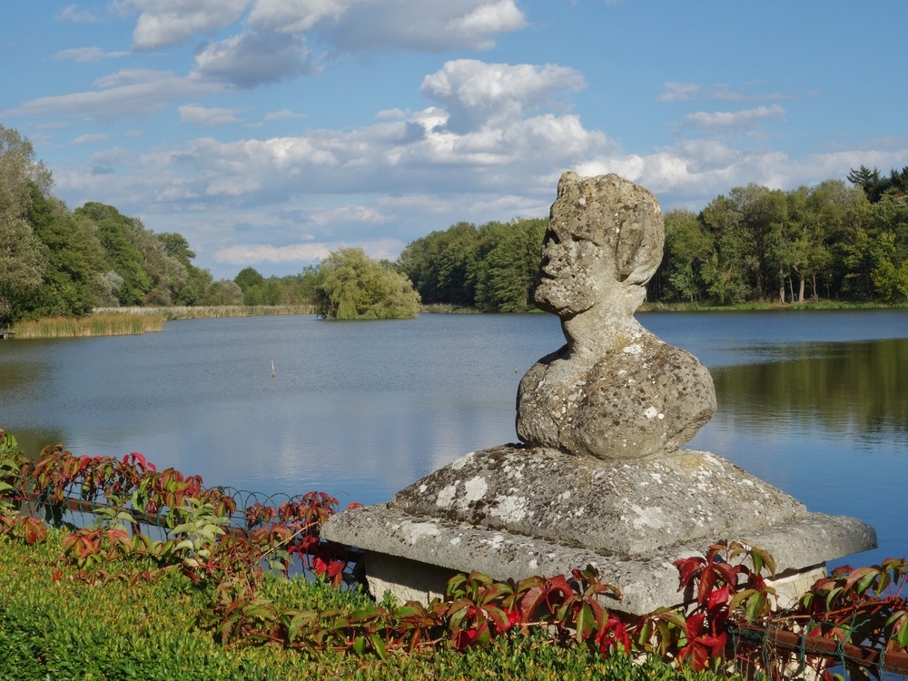 teich im waldviertel, niederösterreich