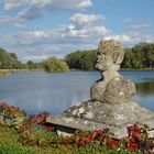 teich im waldviertel, niederösterreich