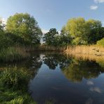Teich im Westpark
