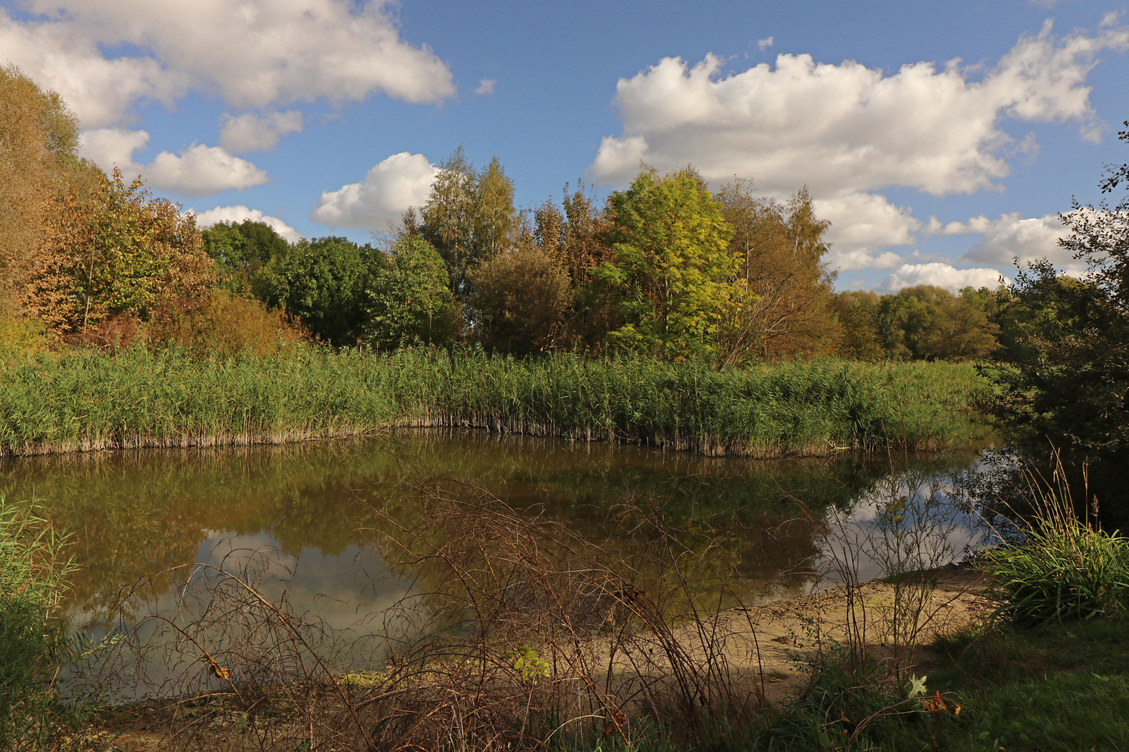 Teich im Westpark