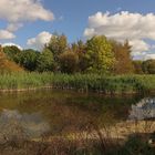 Teich im Westpark