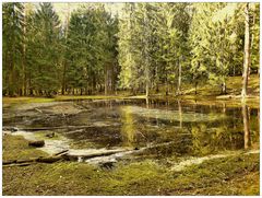 Teich im Wildtierpark