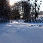 Teich im 'Winter