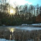 Teich im Winter