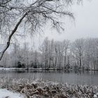 Teich im Winter