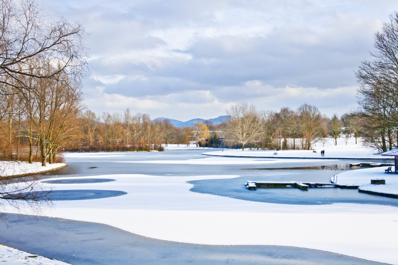 Teich im Winter