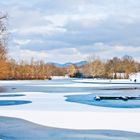 Teich im Winter