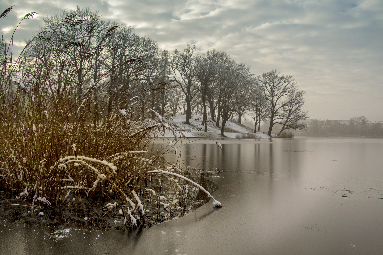 Teich im Winter