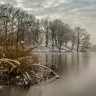 Teich im Winter