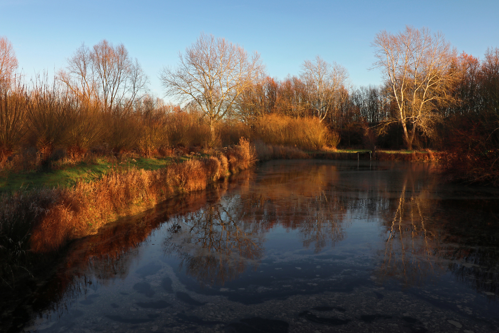 Teich im Winterlicht