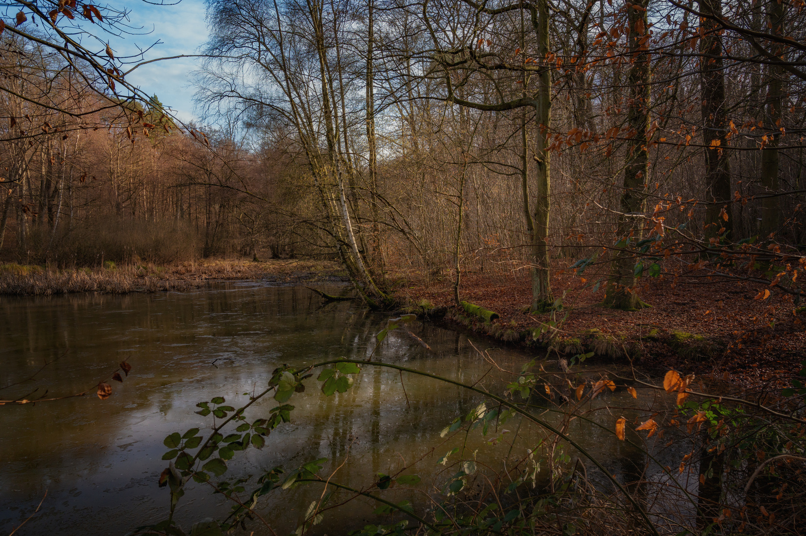 Teich im Winterlicht