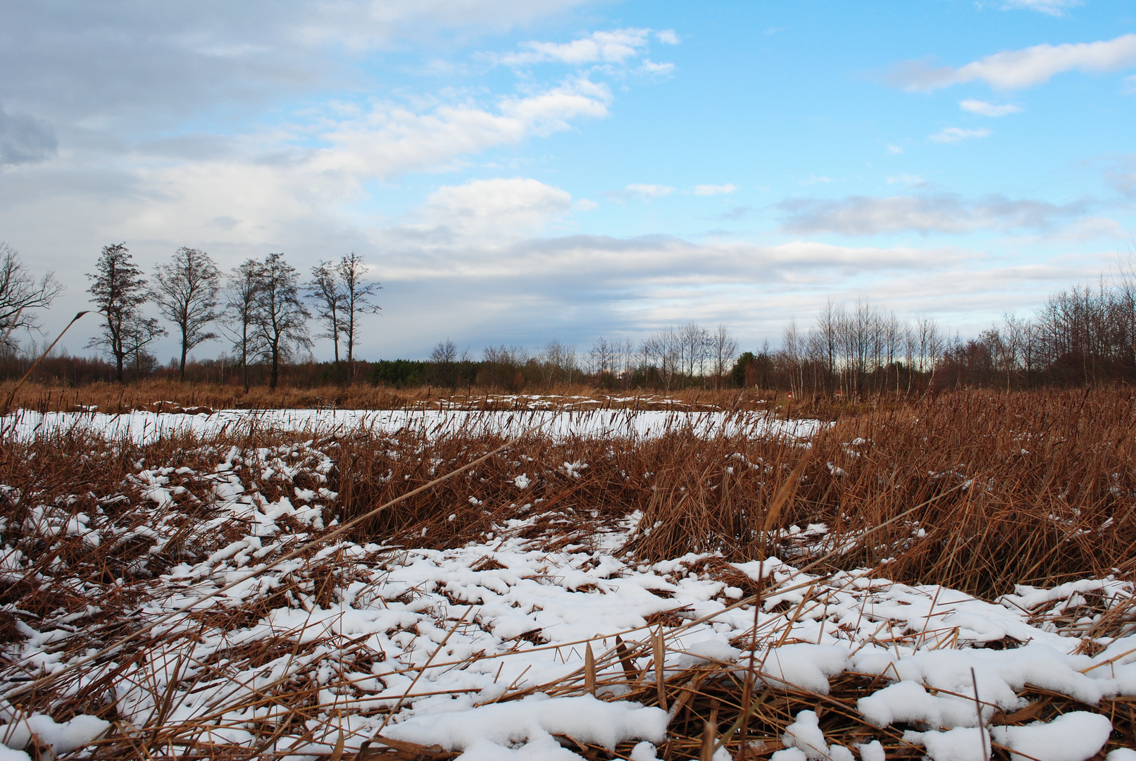 Teich im Winterschlaf