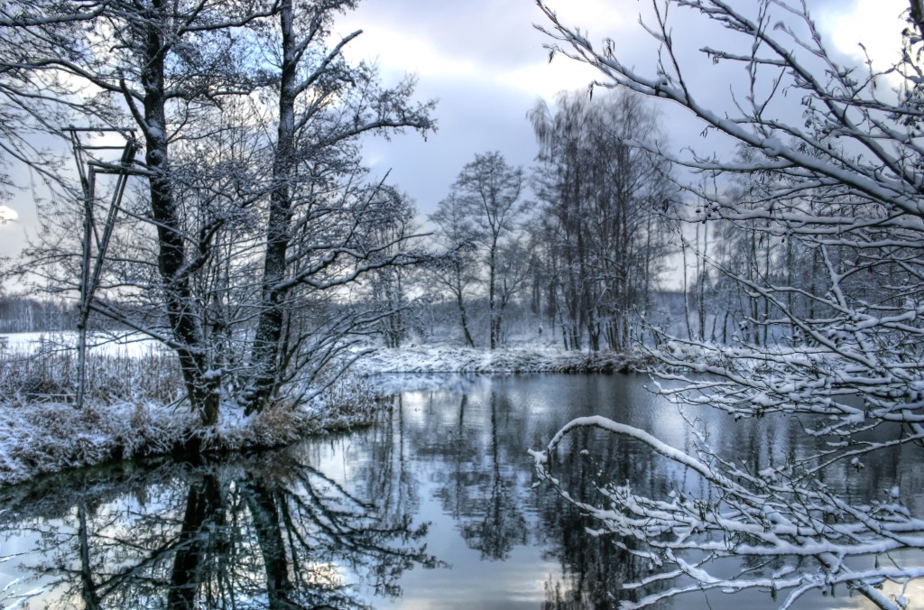 Teich im Winterschlaf