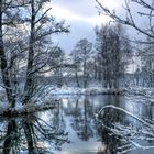 Teich im Winterschlaf