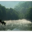 Teich im Zauberwald