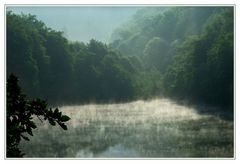 Teich im Zauberwald