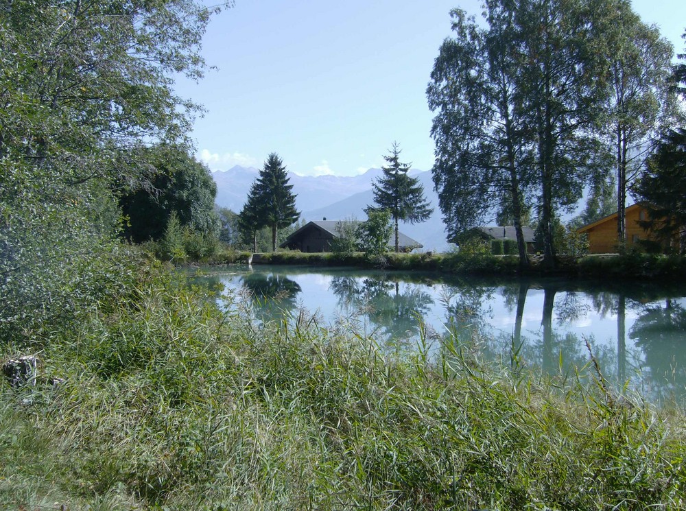 Teich in Arbaz, Kanton Wallis, Schweiz