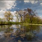 Teich in Belvedere