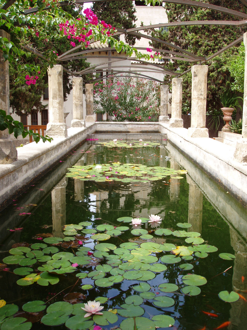 Teich in Bischofsgarten auf Mallorca