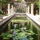 Teich in Bischofsgarten auf Mallorca