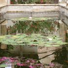 Teich in Bischofsgarten auf Mallorca