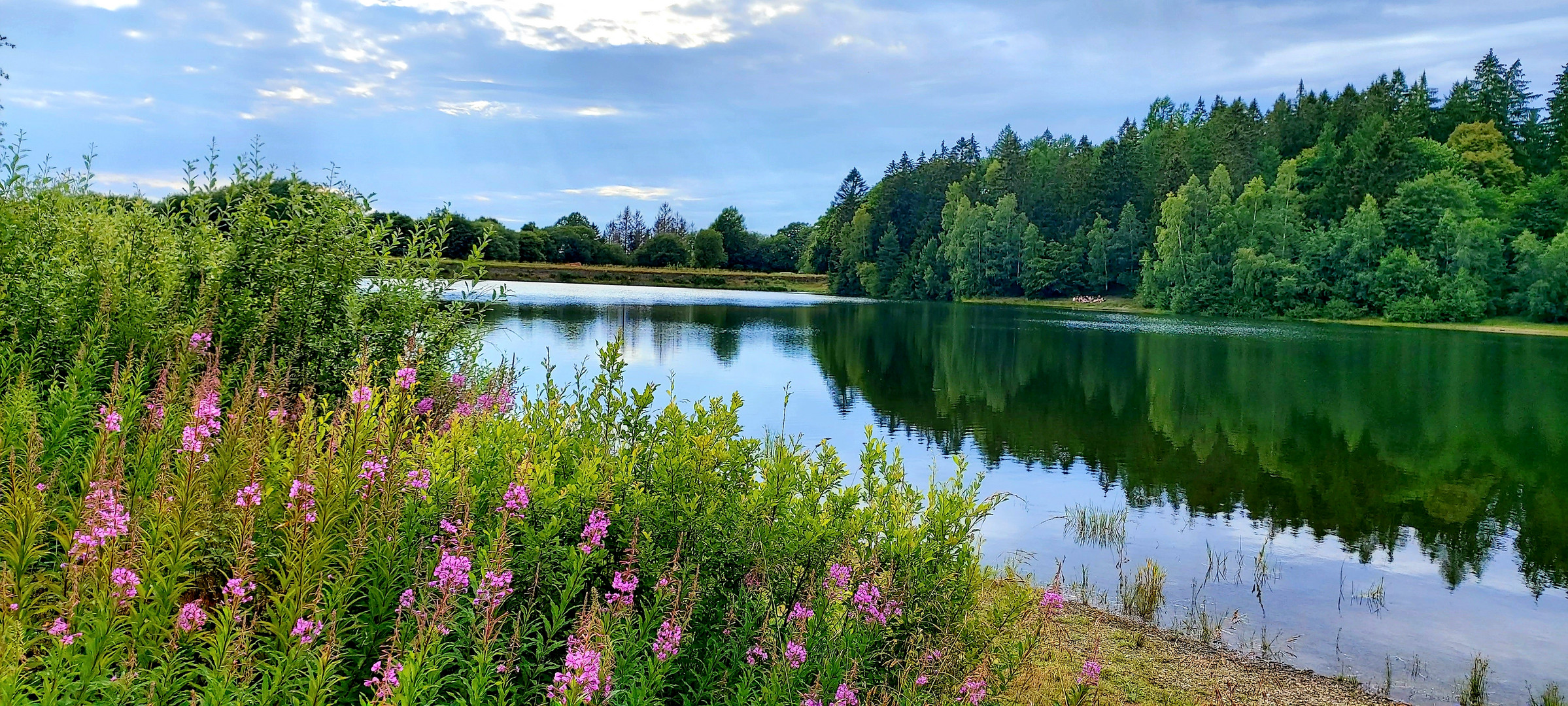 Teich in Clausthal 