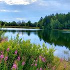 Teich in Clausthal 