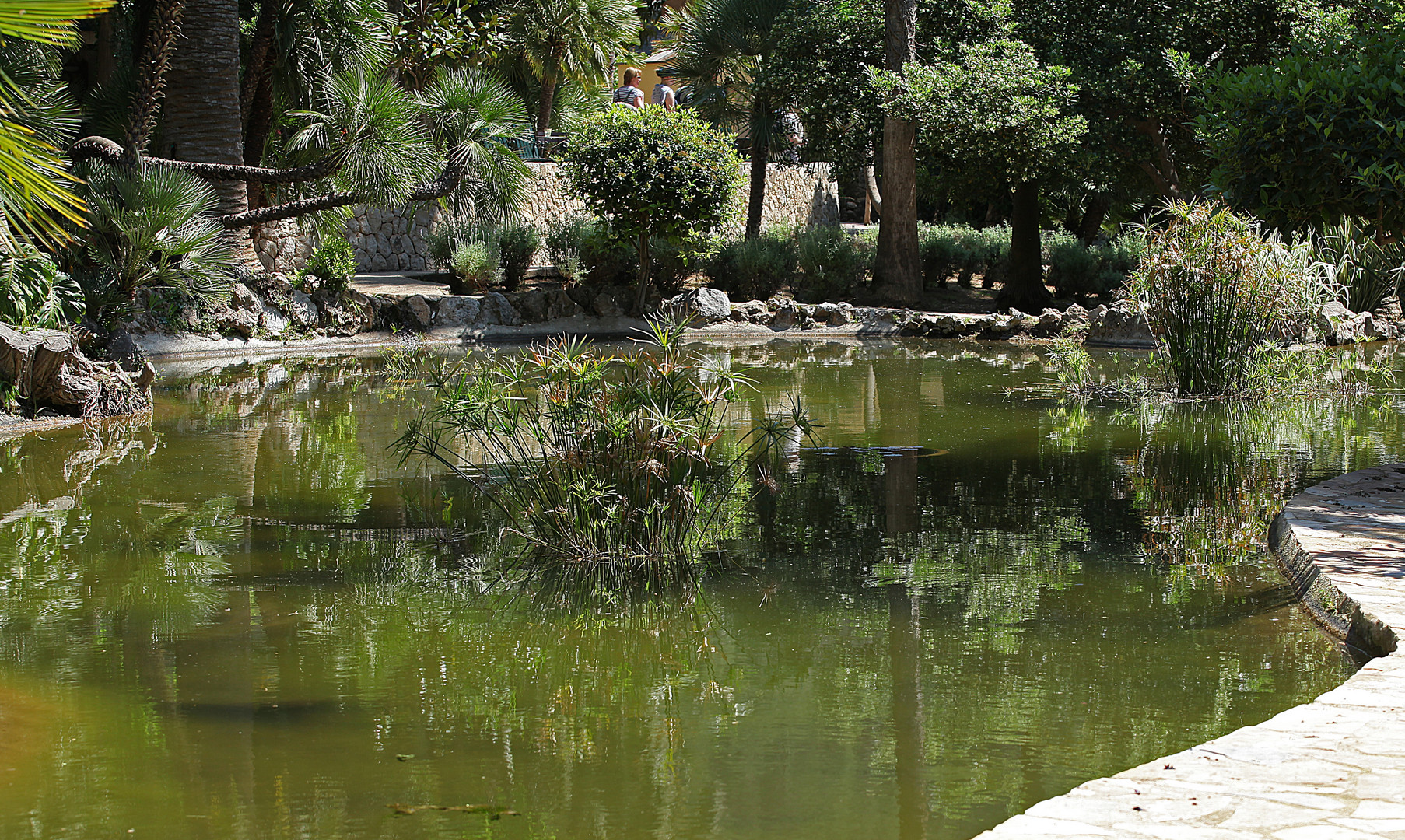 Teich in den Gärten Alfabia in der Tramuntana - Mallorca