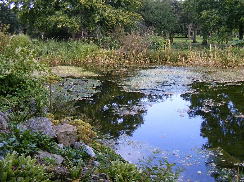 Teich in den Herrenhäuser Gärten Hannover Foto & Bild landschaft