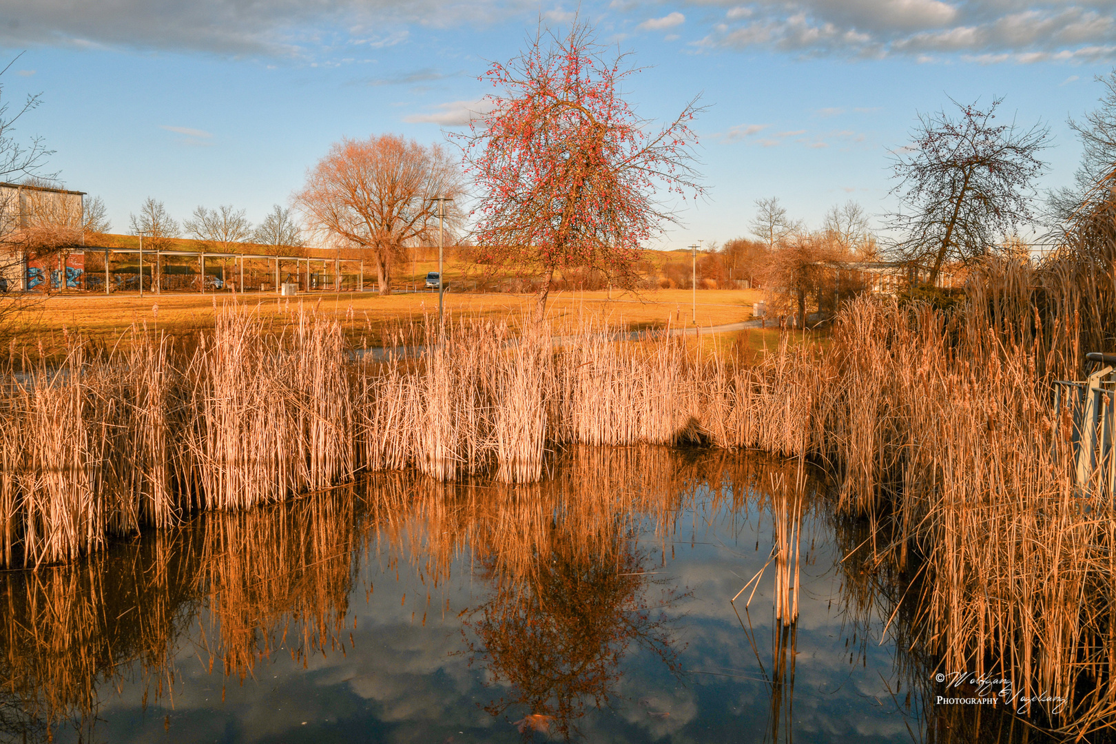 Teich in der Abendsonne