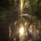 Teich in der Abendsonne