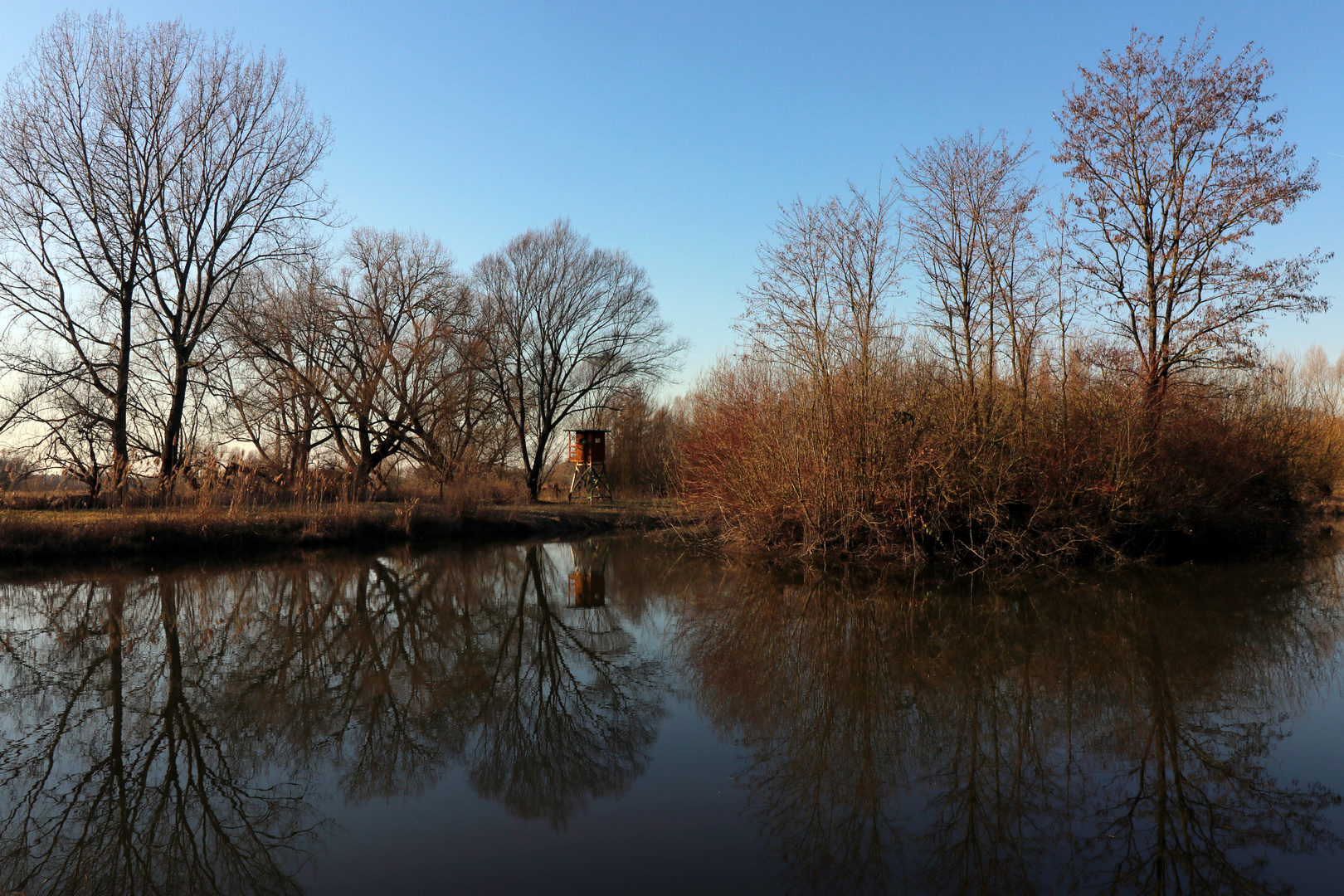 Teich in der Aue