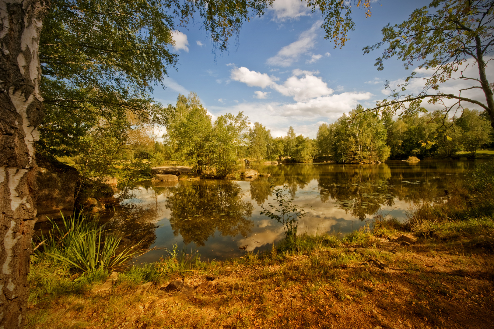 Teich in der Blockheide bei Gmünd