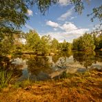 Teich in der Blockheide bei Gmünd