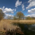 Teich in der Frühlingssonne