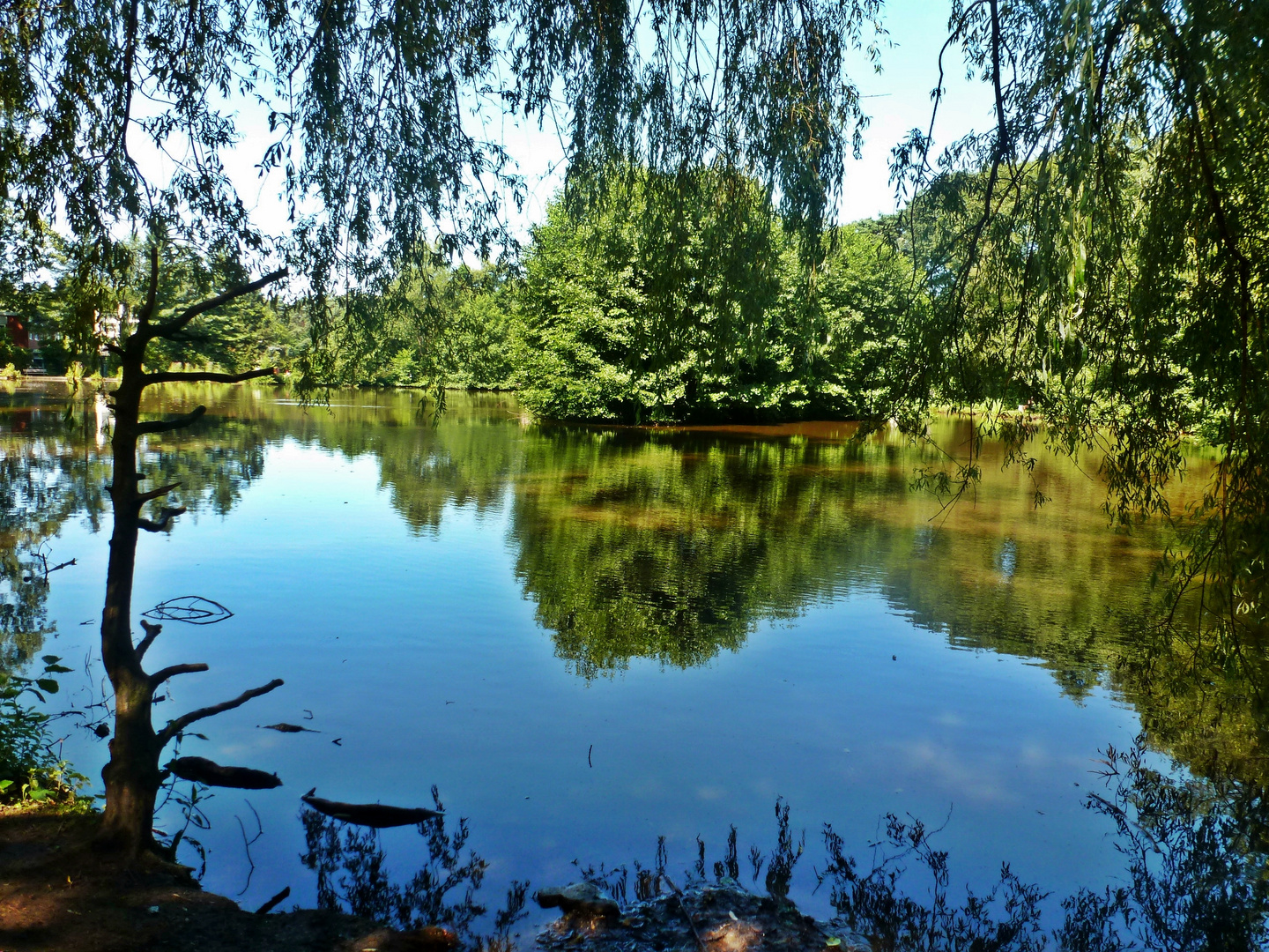 Teich in der Hildener Heide Foto & Bild landschaft, bach, fluss & see