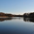 Teich in der Lausitzer Heide